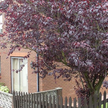 Briardale Bed & Breakfast Lazonby ภายนอก รูปภาพ