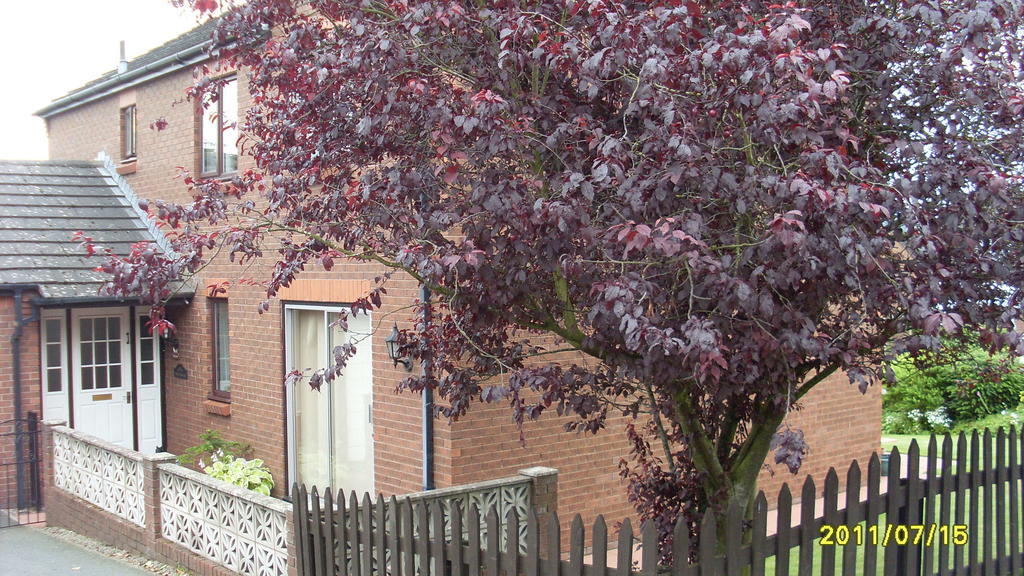 Briardale Bed & Breakfast Lazonby ภายนอก รูปภาพ